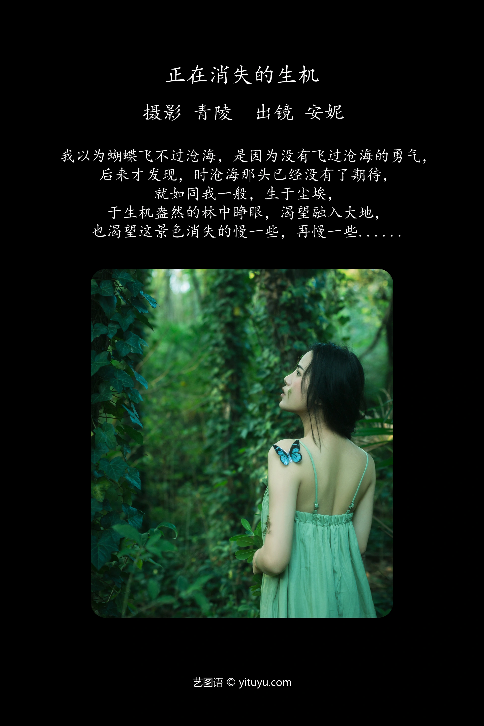[YITUYU艺图语]2023.11.14 正在消失的生机 安妮 0